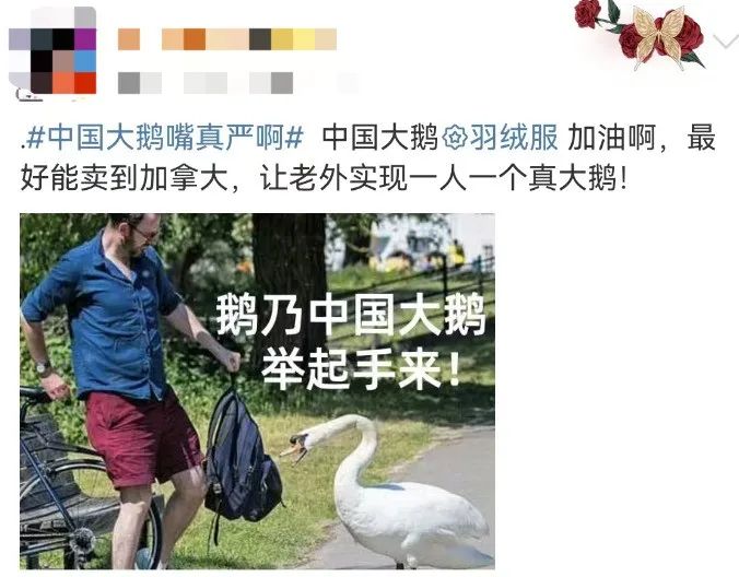 “中国大鹅”火了!双11最强带货王,竟然是网友?
