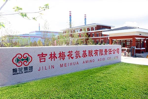 梅花味精:从红海中找到蓝海市场的隐形冠军
