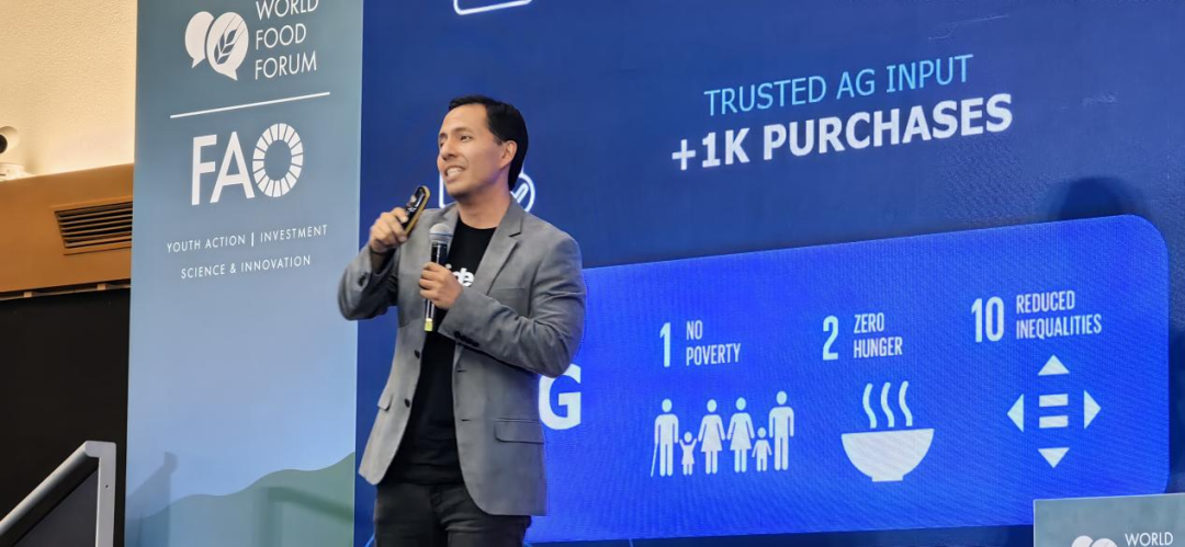 拼多多“秋收”不断档:往上游纵深,向海外输出