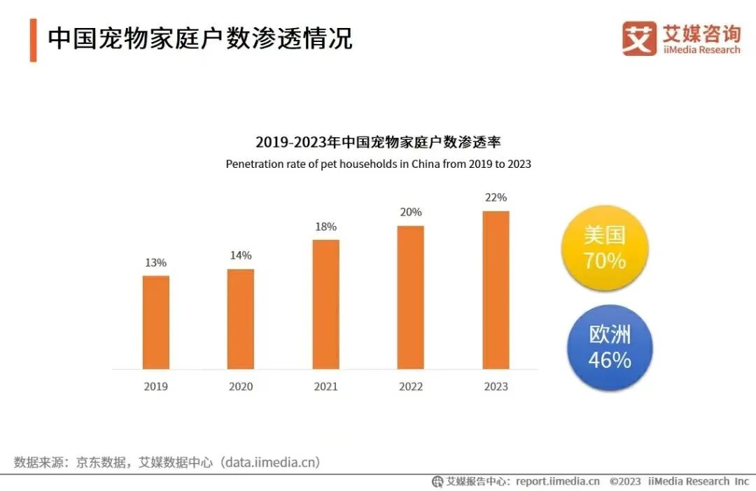 在小红书2天涨粉2万，&ldquo;猫meme&rdquo;成流量密码？