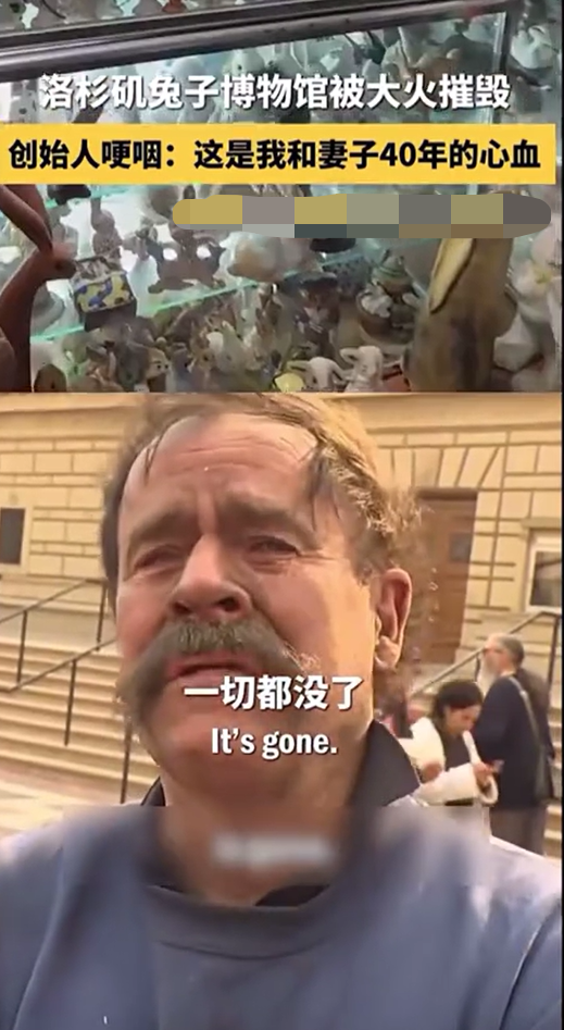 一家兔子博物馆化为灰烬,20明星豪宅烧毁!洛杉矶大火中的品牌、明星救援