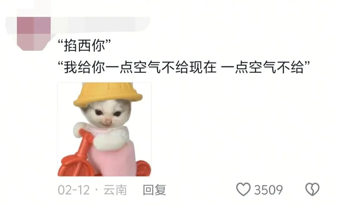 馕言文，成流量密码！