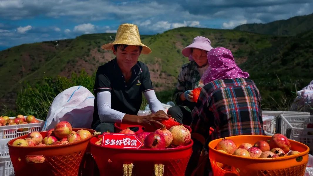 拼多多高质量发展&ldquo;破茧成蝶&rdquo;，多多跨境&ldquo;上大分&rdquo;