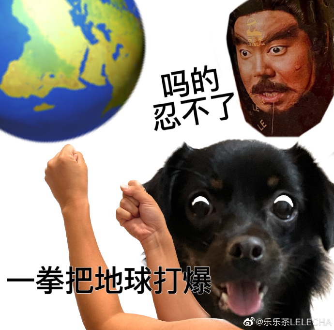 发疯的乐乐茶，就是在&ldquo;演我&rdquo;