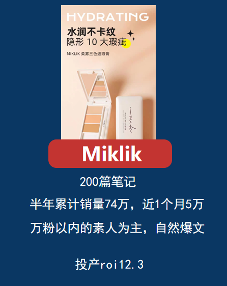 同一品类产品在小红书上不同投放策略，带来投产效率相差近10倍？