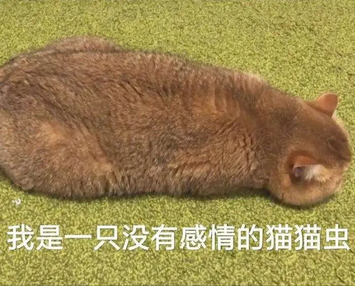 点击查看源网页 点击查看源网页