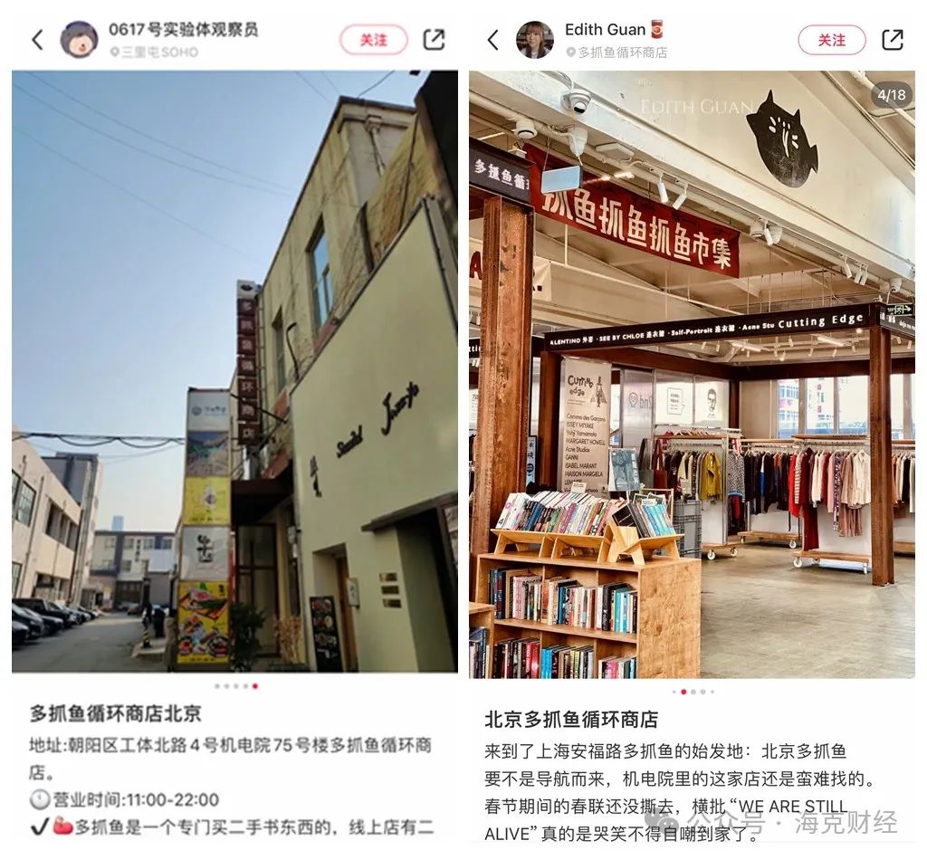 闲鱼闲不住
