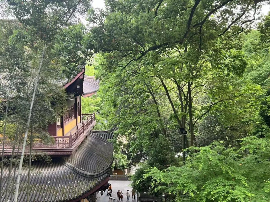 &ldquo;史上最火&rdquo;春节旅游，&ldquo;斗智斗勇&rdquo;竞赛升级