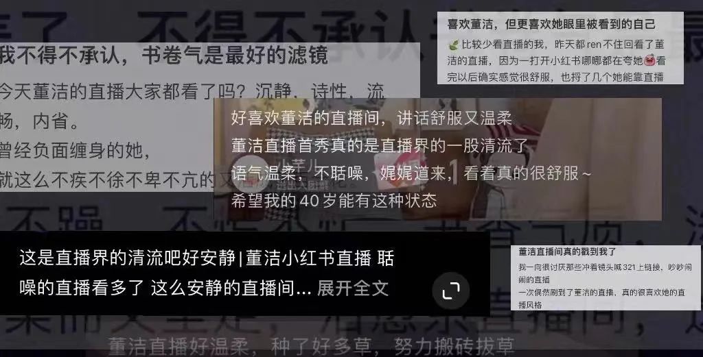董洁带不动小红书