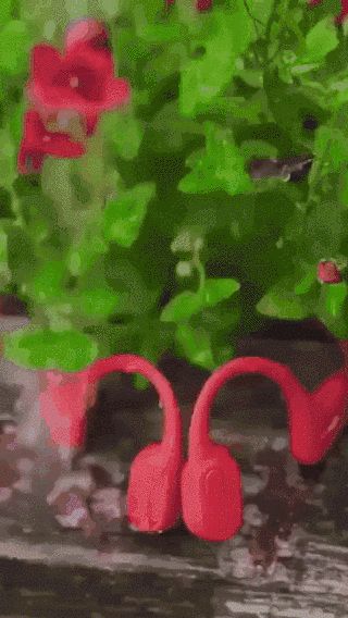 17.gif