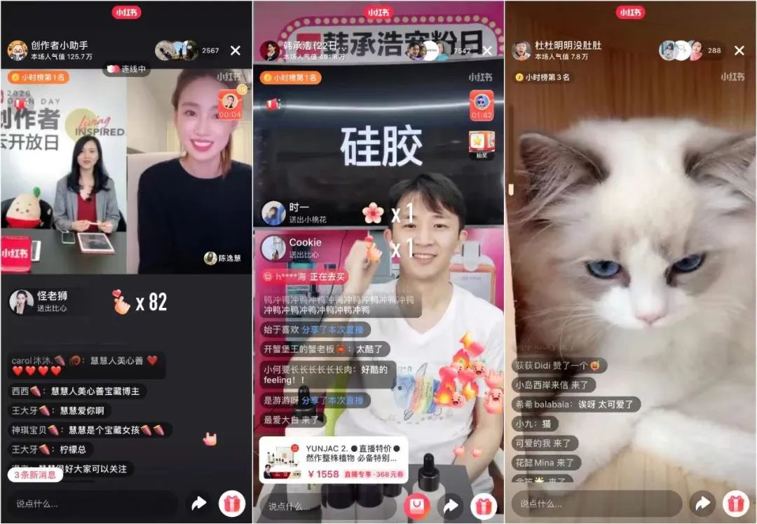 小红书进退两难,留给毛文超的时间不多了