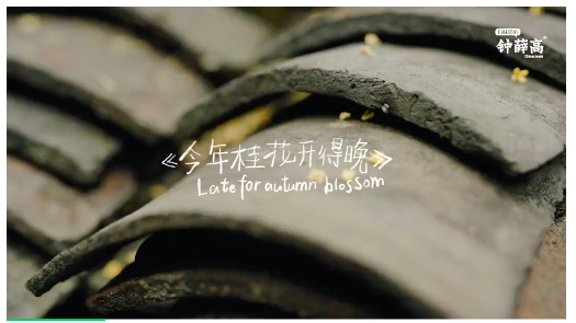 屏幕快照 2021-12-16 下午5.22.47.png