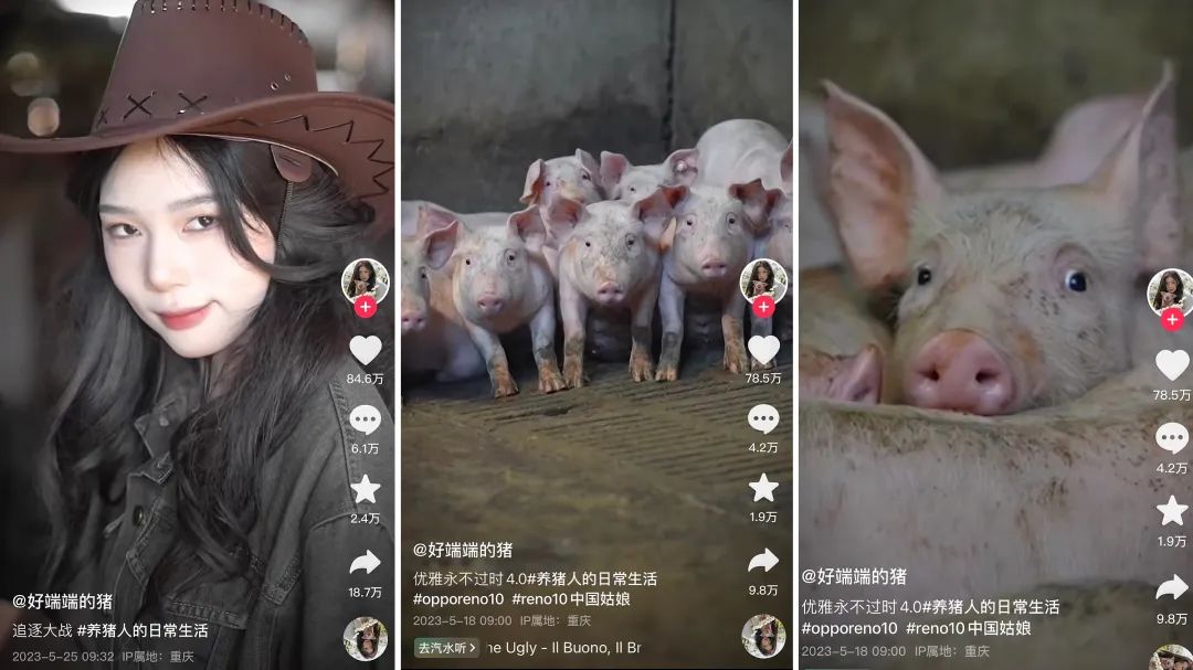 研究抖音5年,我发现涨粉快的达人都玩好了“反差感”