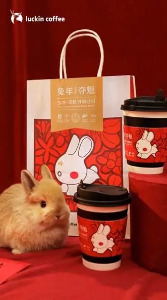 CNY，品牌&ldquo;兔&rdquo;出重围