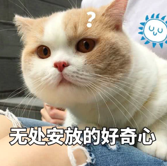 image.png image.png
