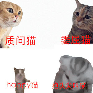 霸榜三平台，猫meme&ldquo;踩中&rdquo;三大爆款要素