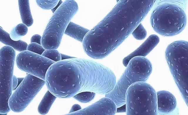 蒙牛踢开供应商科拓生物,中国乳业“卡脖子”难解