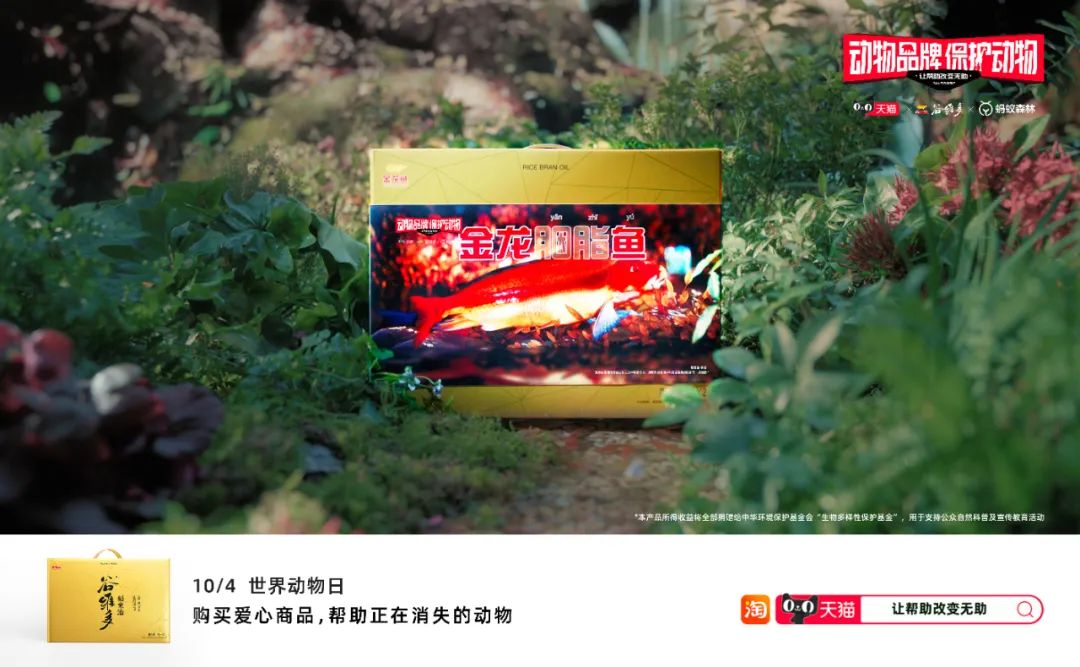 大批错版商品被上架，天猫发生了什么？