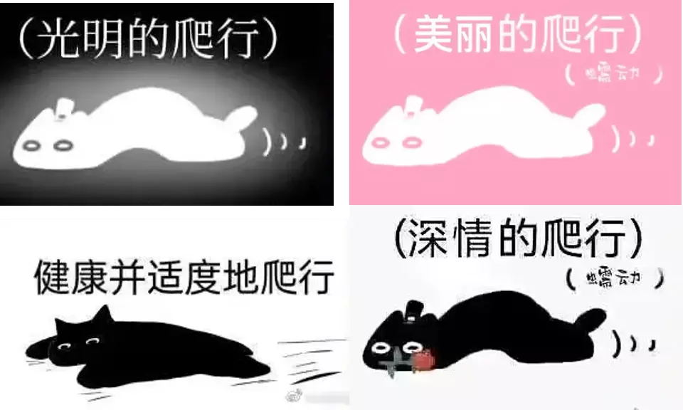 靠&ldquo;爬行&rdquo;在小红书获赞数万，这届年轻人发起疯来也太迷惑了&hellip;&hellip;