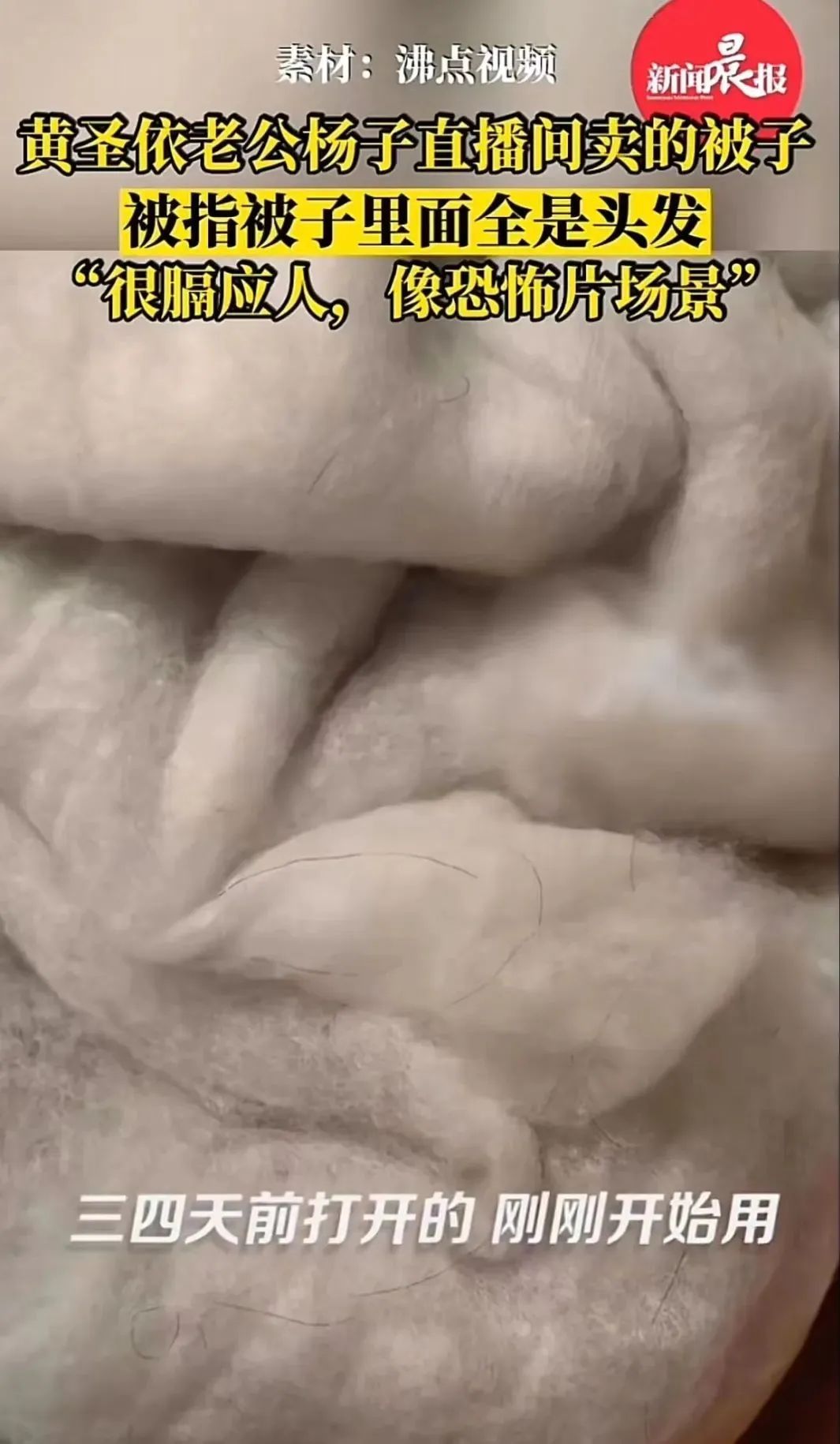 一根头发,“绊翻”杨子