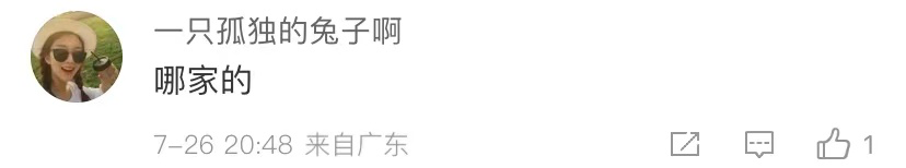 12句话疗文案，极度舒适~