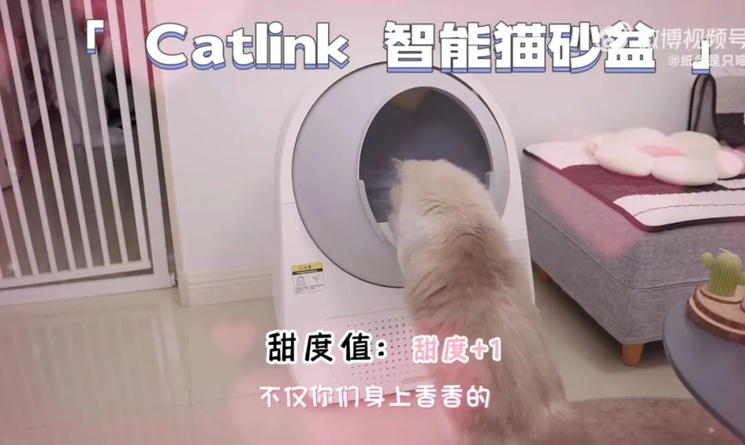 天猫变甜猫,双11甜度拉满了!
