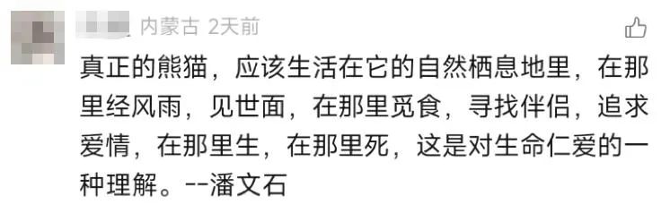大熊猫保护日,淘宝拍了一支让人爱心爆棚的皮影戏