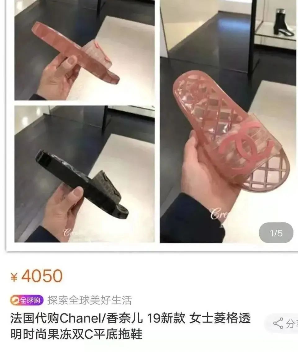 加拿大鹅有东北那味儿了,我当场笑出鹅叫!