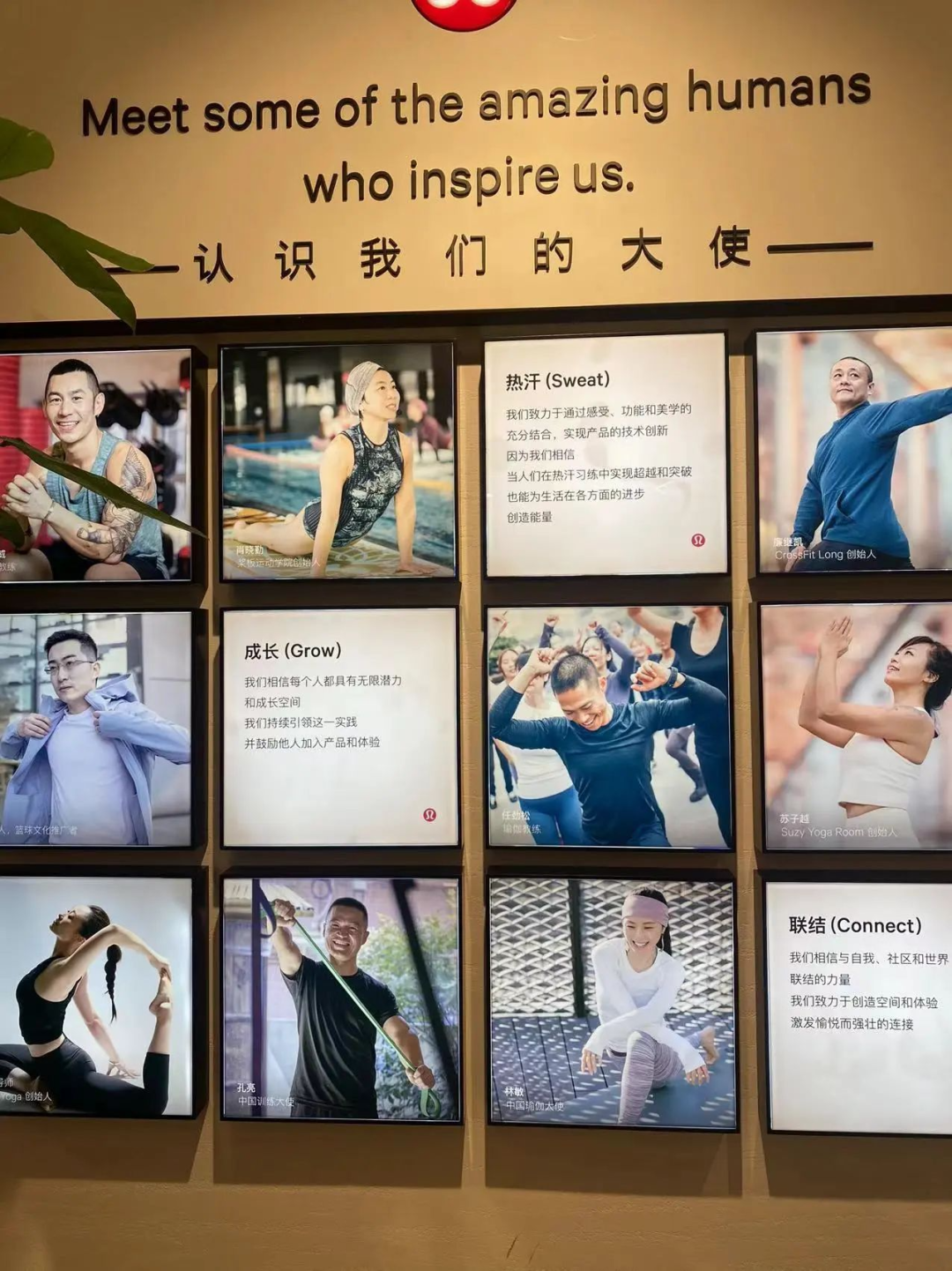 百亿美元的信仰生意,lululemon的全域经营启示录丨全域研究