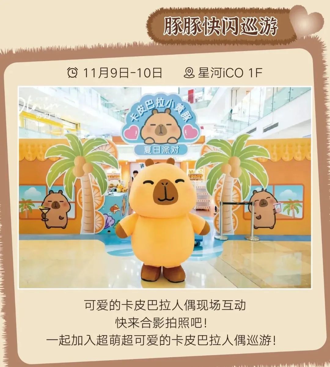 半年吸引亿级流量,卡皮巴拉小黄豚如何变身爆款IP?