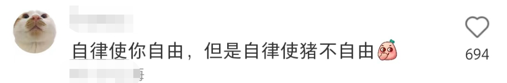 盒马的猪,把刘畊宏女孩卷疯了!