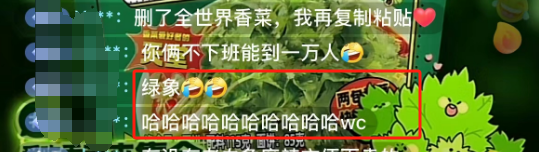 穿“香菜比基尼”带货?白象主播辣瞎眼!