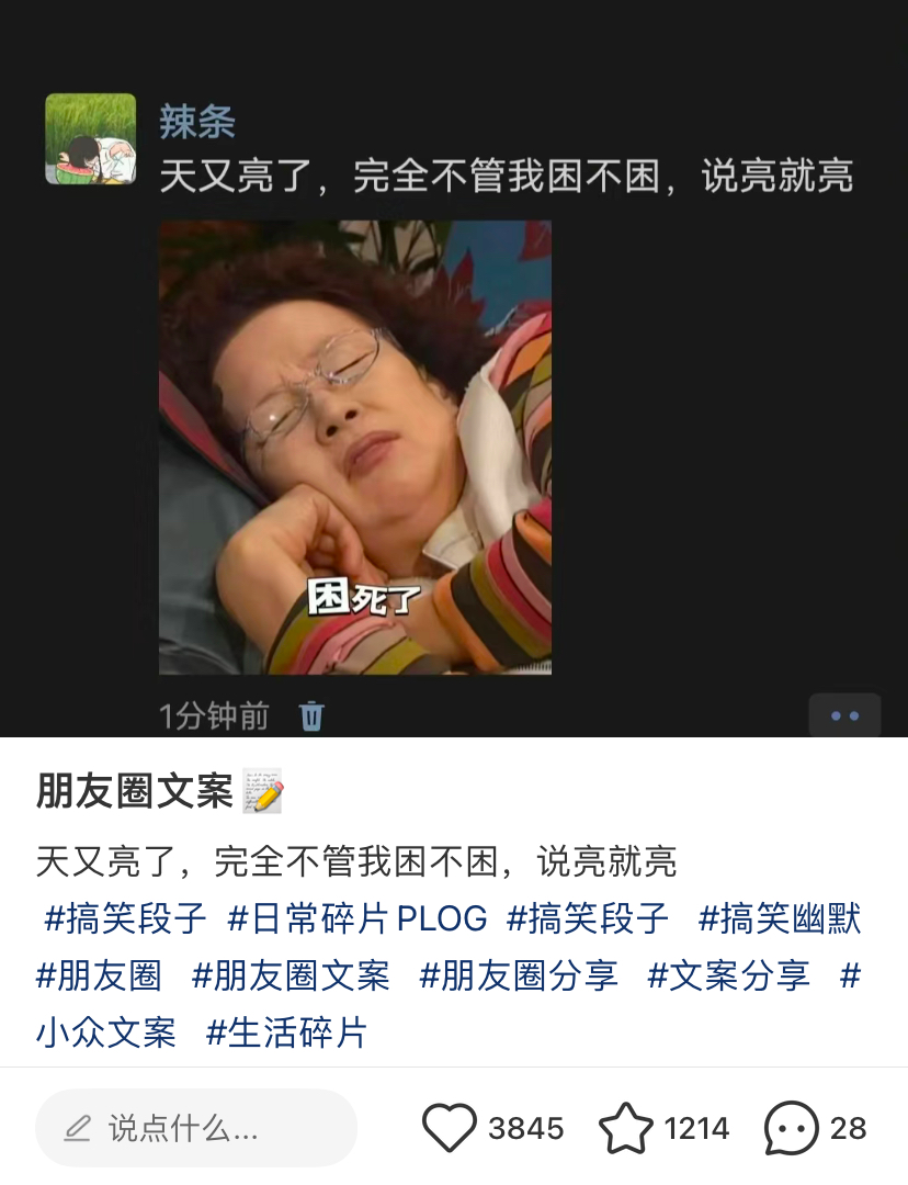 24句发疯文案，情绪价值拉满