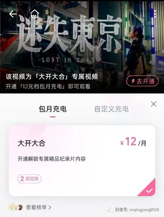 B站“充电”,小红书“种草”——社区商业化即将进入下半场(粉丝专享版)