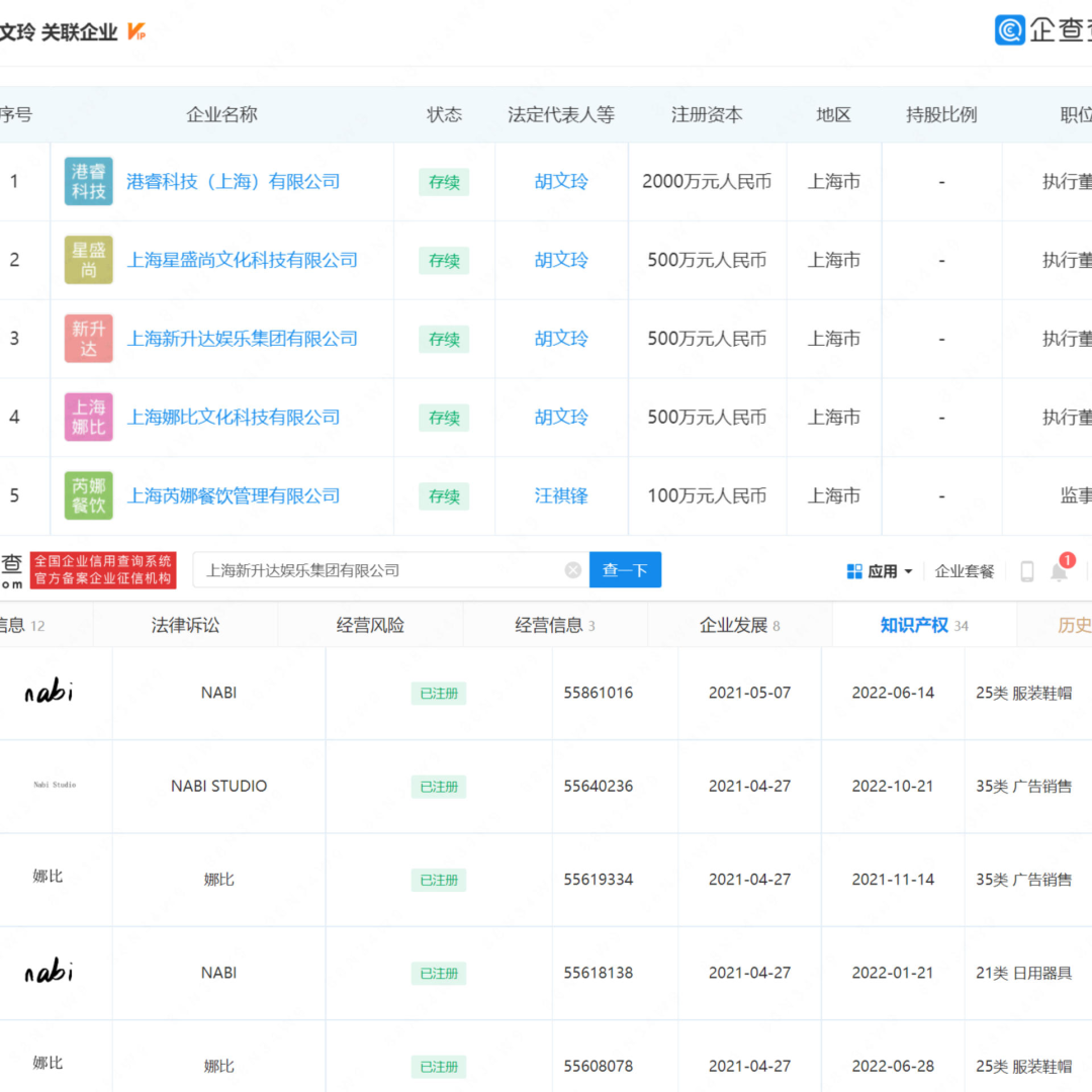谁在为&ldquo;nabi&rdquo;买单？
