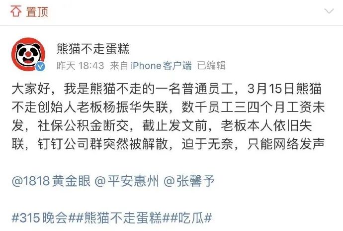 老板欠薪失联,12万家同行倒闭,“熊猫不走”难幸存