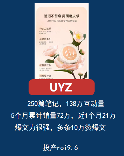 同一品类产品在小红书上不同投放策略，带来投产效率相差近10倍？