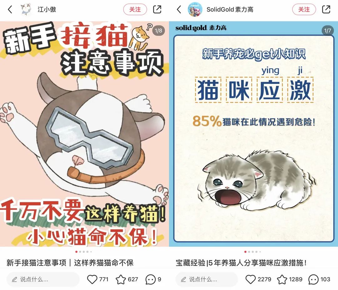 宠物赛道近期小红书种草趋势！怎么做才有转化有传播？