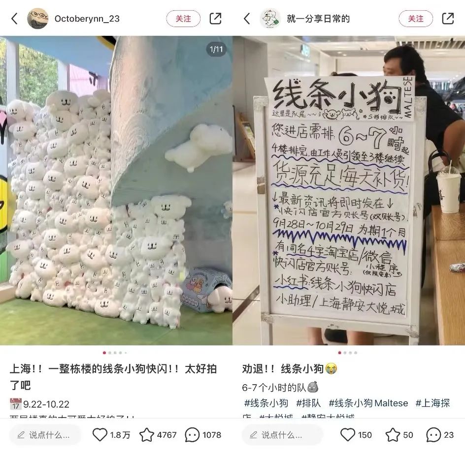 销售额破千万,快闪店被挤爆,谁接住了Chiikawa的泼天富贵?