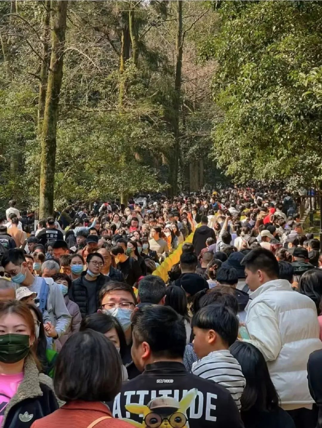 “寺庙热”,是营销还是玄学?