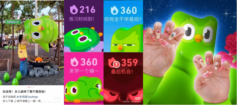 从“猫meme”到“绿色鸟子”,真正的“万物皆可IP”? | 雷报