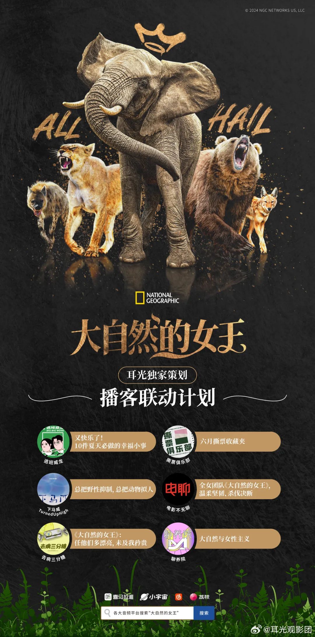 鲁豫《岩中花述》火出圈,播客营销风口来了?
