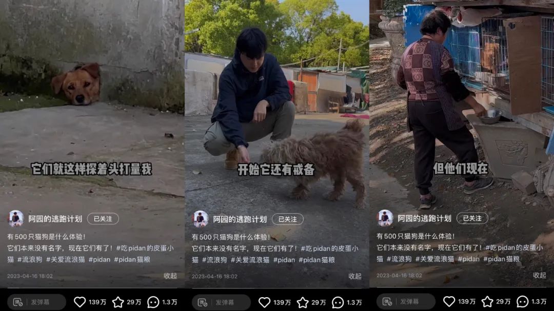 两条广告点赞破100万,他是2023年的爆款制造机