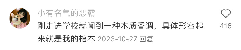 24句发疯文案，情绪价值拉满