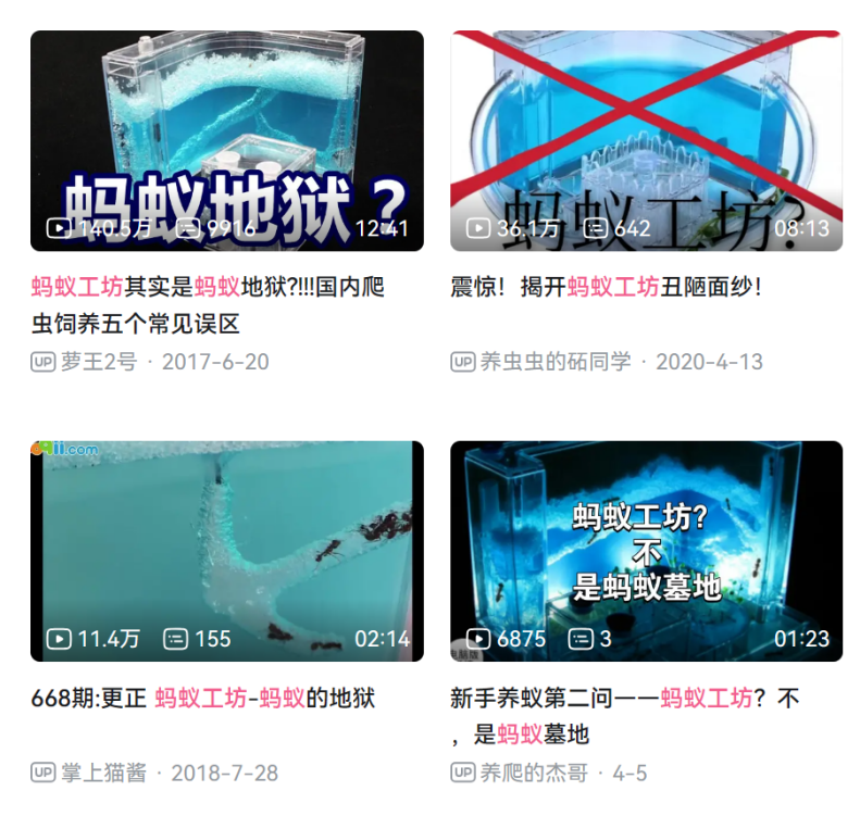 异宠，一场年轻人的单向奔赴