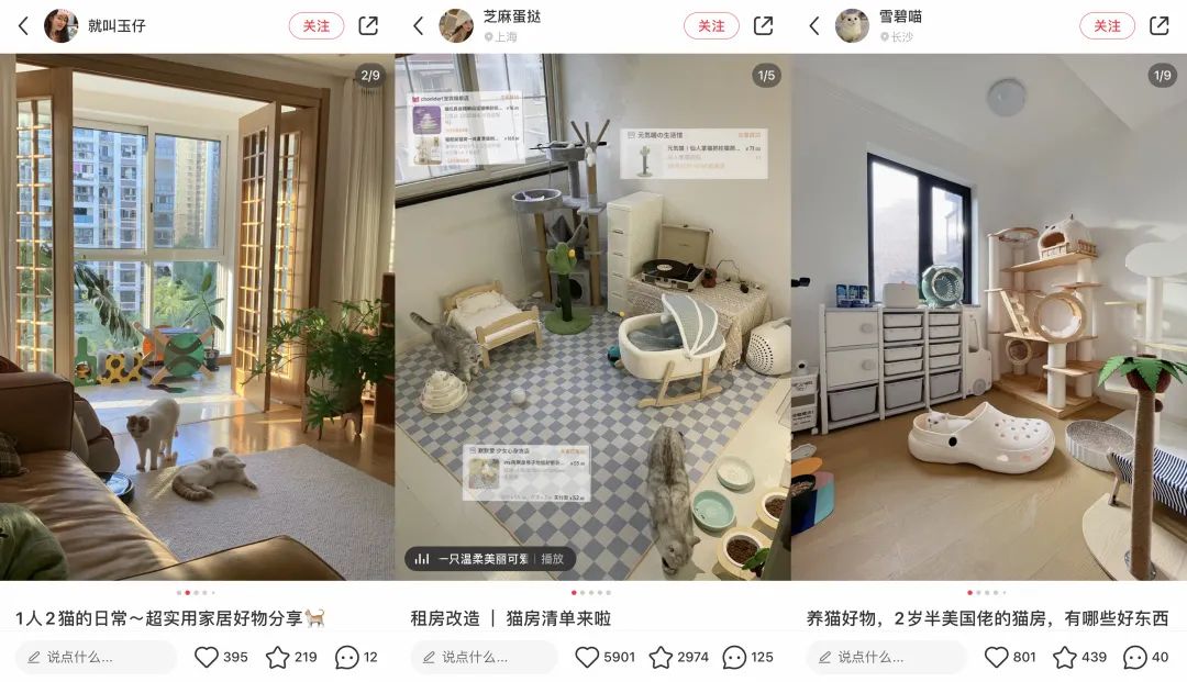 6年做到品类第一!高热宠物用品赛道来看pidan怎么做小红书投放布局?