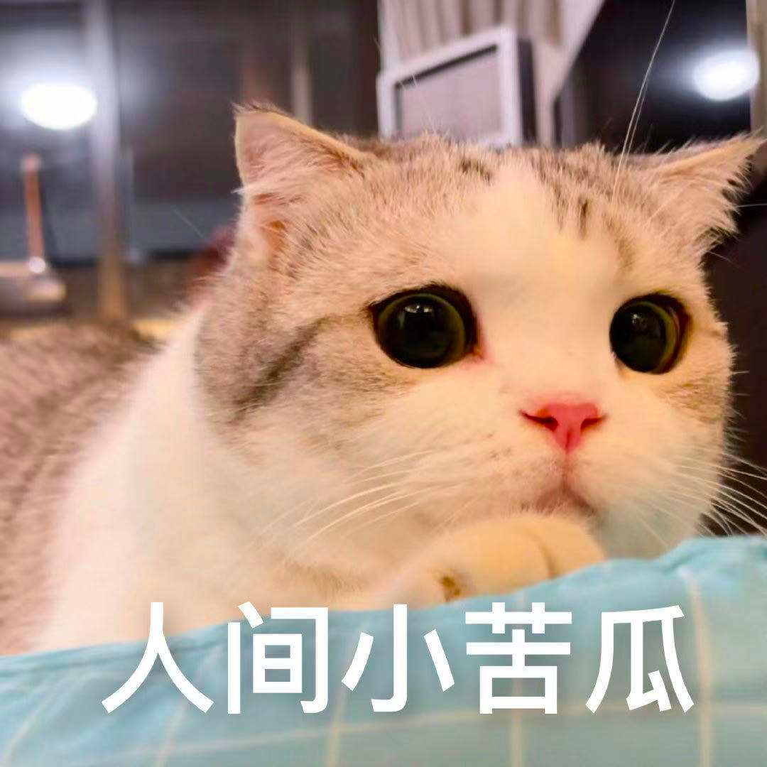 image.png image.png