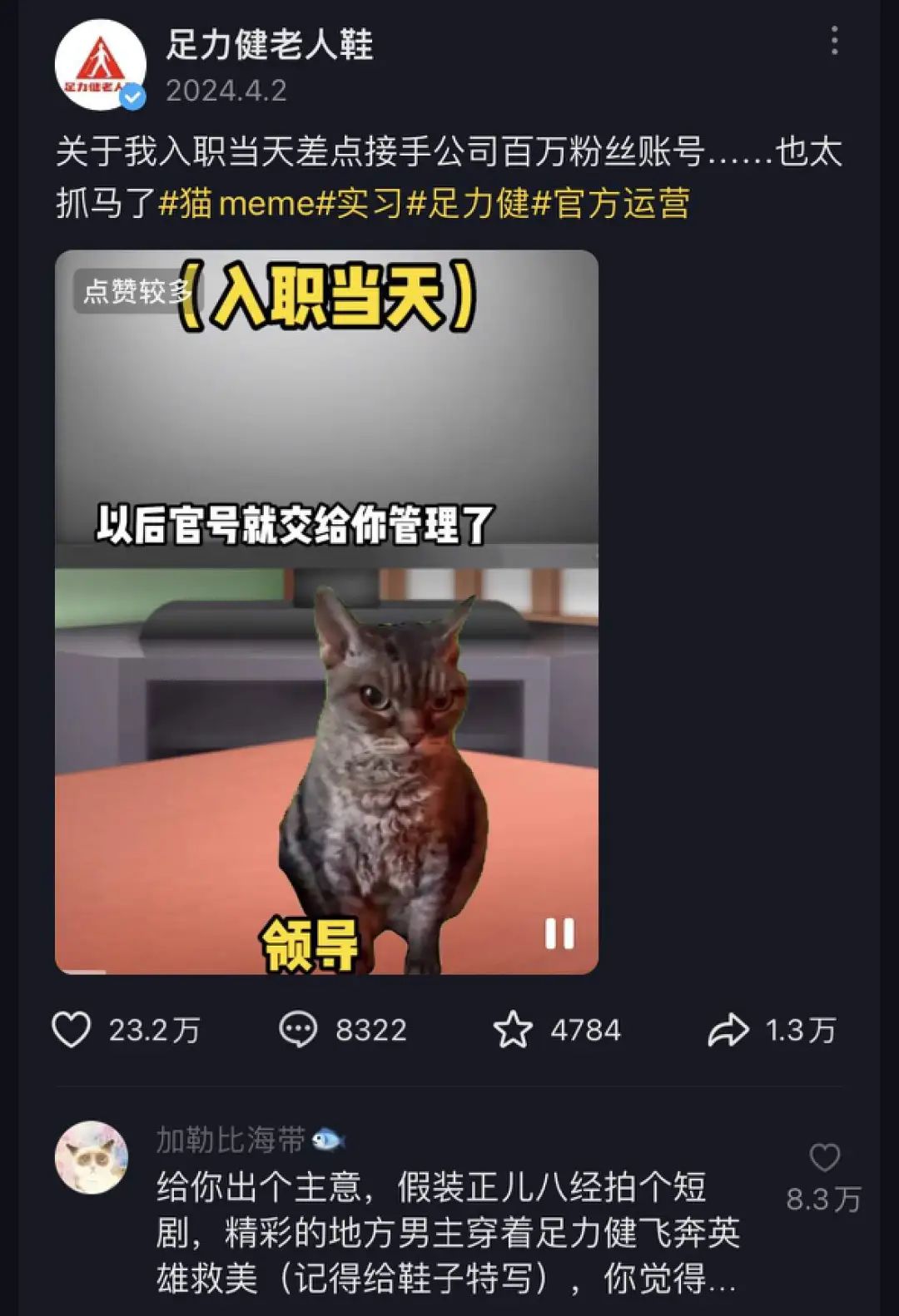 00后官号运营，正在用猫meme勇闯职场