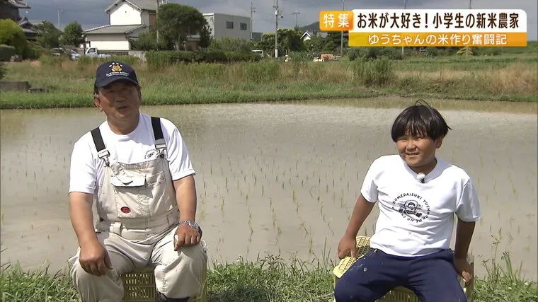 日本9岁小学生暑假租600㎡地，学会了种田，实现吃米饭自由！网友：动手能力比我强1000倍！