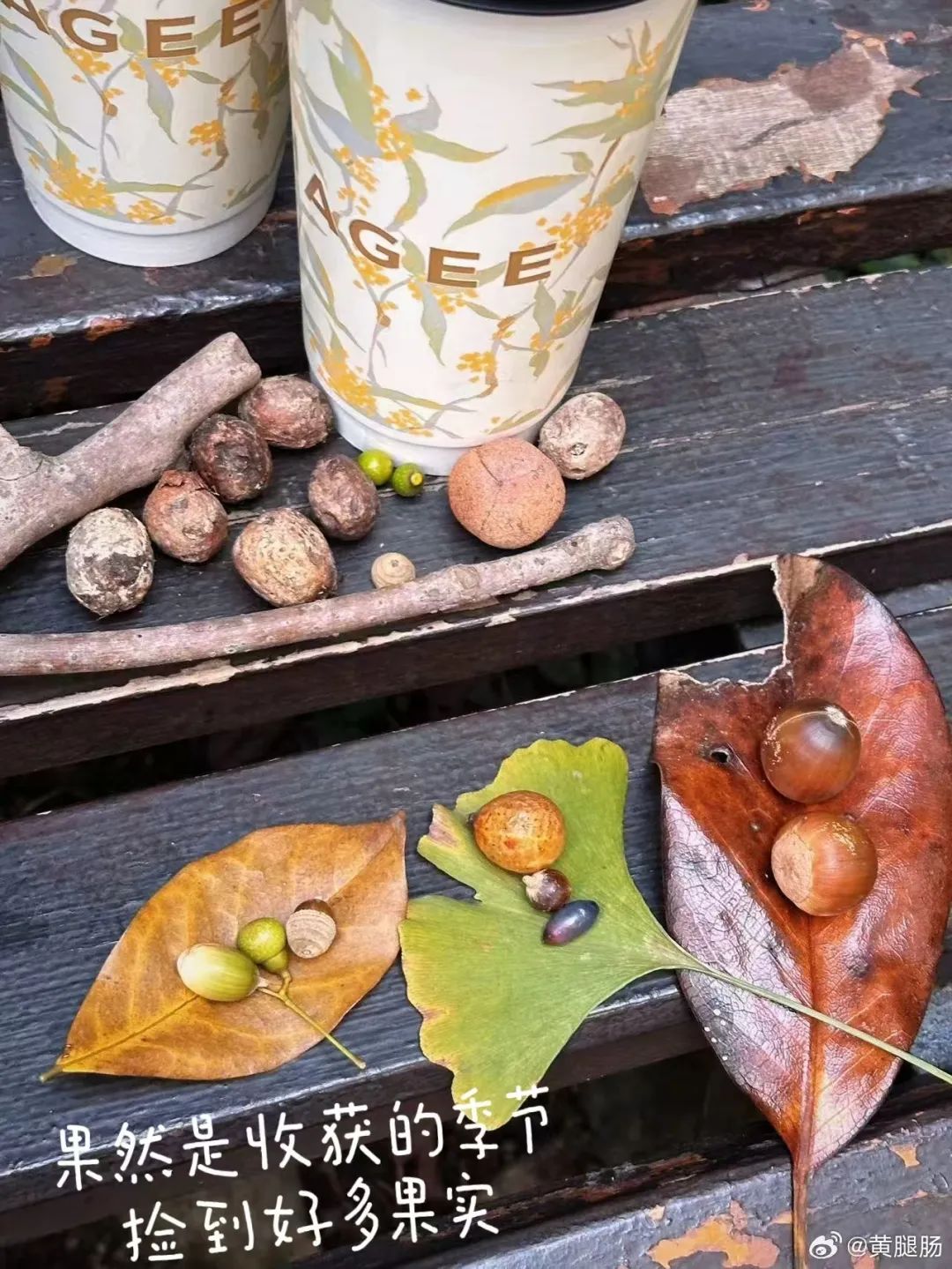 接棒&ldquo;秋天第一杯奶茶&rdquo;，&ldquo;捡秋&rdquo;被瑞幸玩坏了！